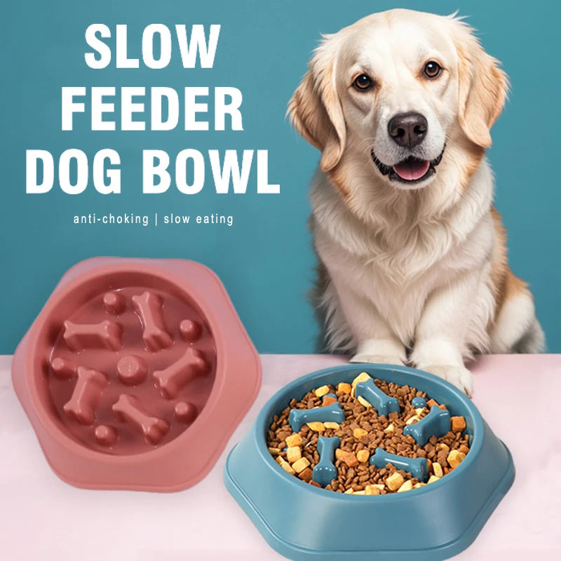 PetAura Slow Feeder Bowl – Anti-Choke Puzzle Bowl for Dogs