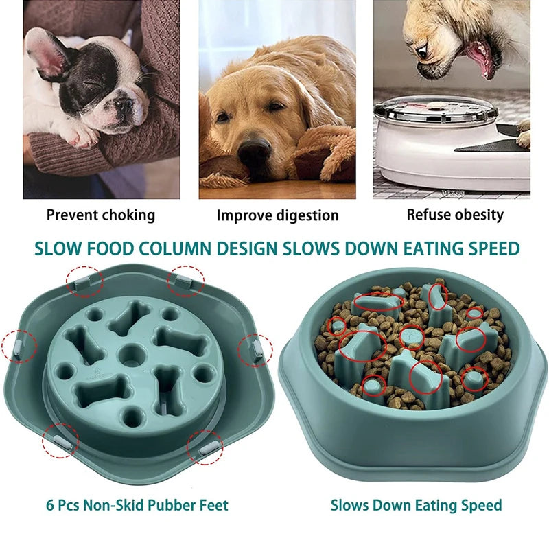 PetAura Slow Feeder Bowl – Anti-Choke Puzzle Bowl for Dogs