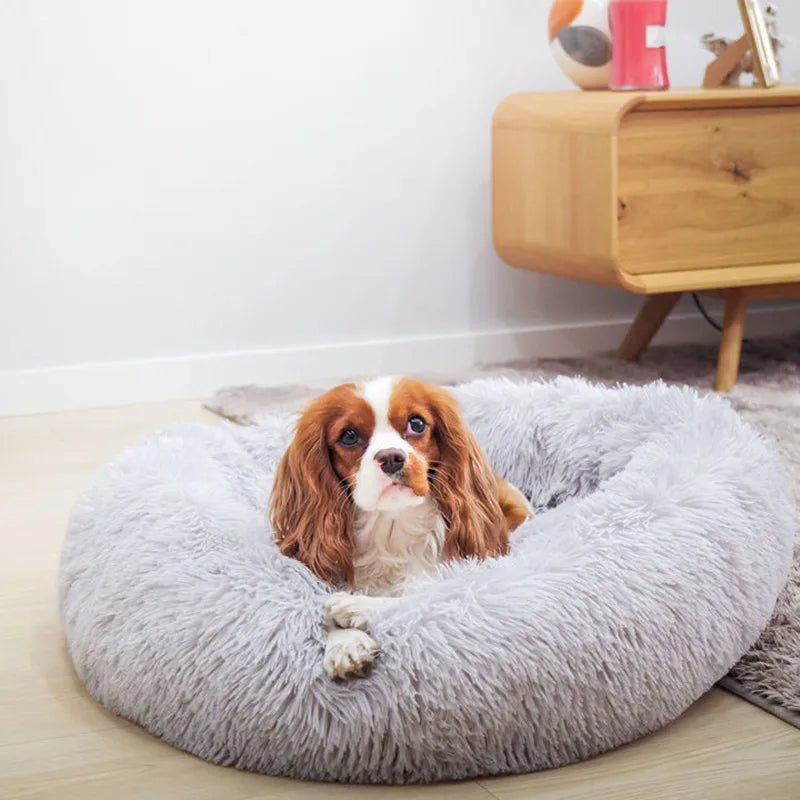 PetAura Donut Bed – Ultra-Soft Calming Bed for Dogs & Cats