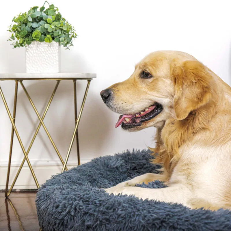 PetAura Donut Bed – Ultra-Soft Calming Bed for Dogs & Cats