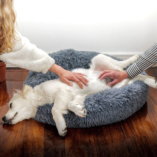 PetAura Donut Bed – Ultra-Soft Calming Bed for Dogs & Cats