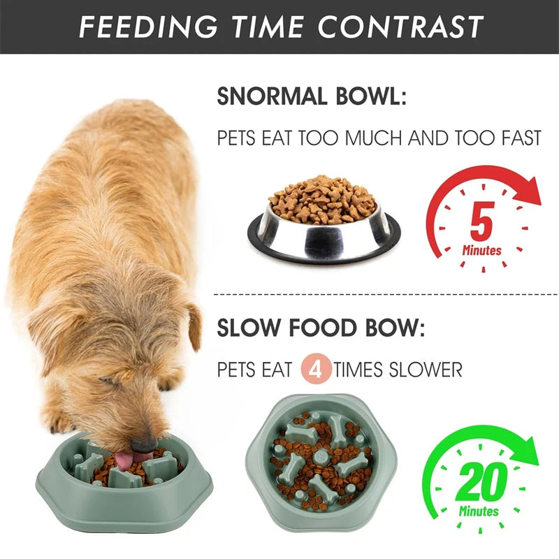 PetAura Slow Feeder Bowl – Anti-Choke Puzzle Bowl for Dogs